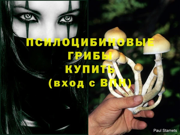 скорость Алзамай